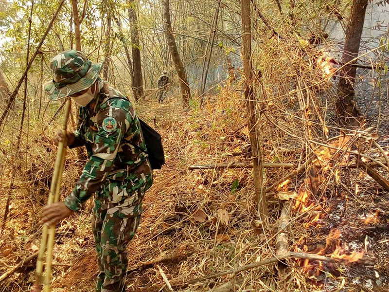 ไฟป่าดอยหลวงเชียงดาว ไฟป่าดอยหลวงเชียงดาว