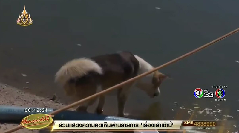 แม่น้องภาคิน แม่น้องภาคิน