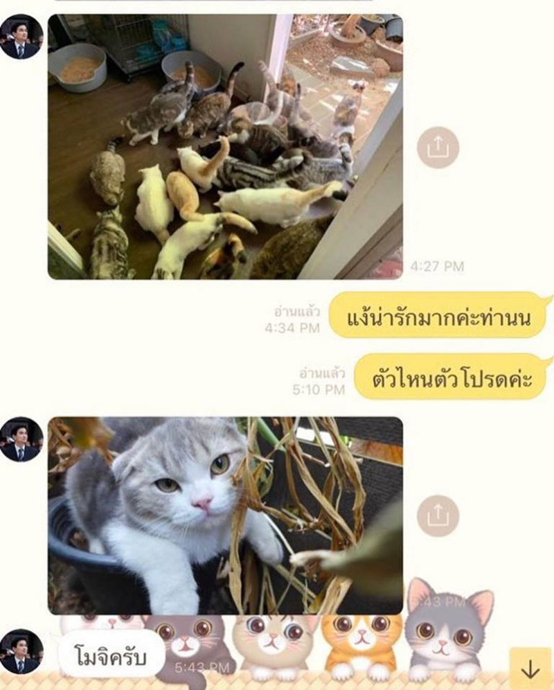 มาร์ค อภิสิทธิ์ มาร์ค อภิสิทธิ์