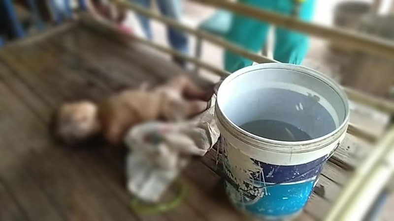 แม่ปริ่มขาดใจ แม่ปริ่มขาดใจ