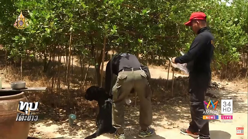 น้องภาคิน น้องภาคิน