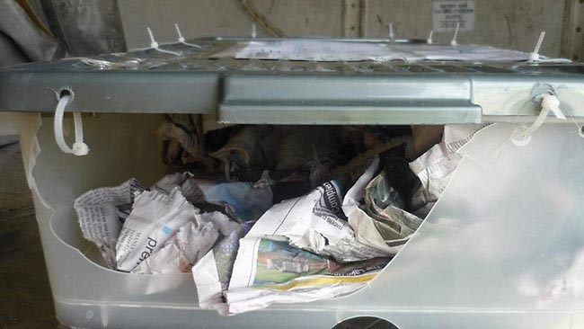 ผงะ! จระเข้เดินว่อนในห้องเก็บสินค้าใต้เครื่องแควนตัส ผงะ! จระเข้เดินว่อนในห้องเก็บสินค้าใต้เครื่องแควนตัส