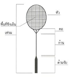 ประวัติแบดมินตัน ลักษณะของแร็กเกตแบดมินตัน (ไม้แบตมินตัน)