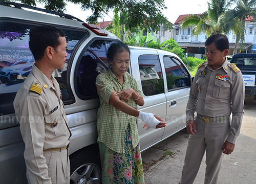 ถูกงูเหลือมฉก ถูกงูเหลือมฉก