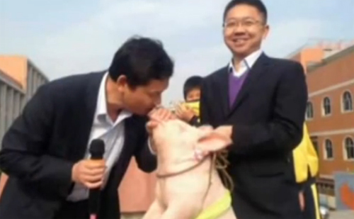 ครูจีนยอมจูบหมูตามสัญญาต่อหน้าเด็กทั้งโรงเรียน ครูจีนยอมจูบหมูตามสัญญาต่อหน้าเด็กทั้งโรงเรียน