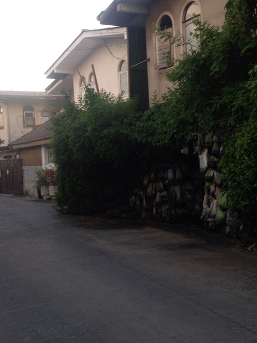 ลัทธิบูชาขี้หมา ลัทธิบูชาขี้หมา