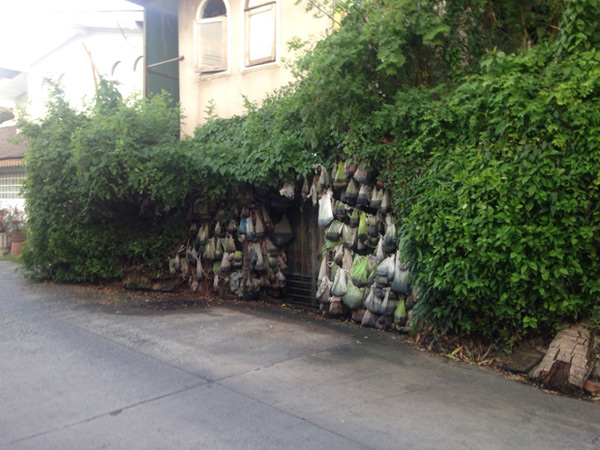 ลัทธิบูชาขี้หมา ลัทธิบูชาขี้หมา