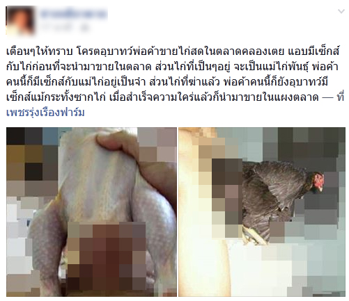 มีเซ็กส์กับไก่ มีเซ็กส์กับไก่