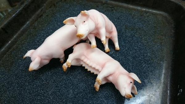 เมนูเนื้อหมูรูปหมู เมนูเนื้อหมูรูปหมู
