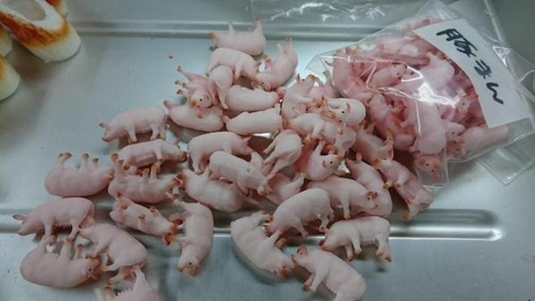 เมนูเนื้อหมูรูปหมู เมนูเนื้อหมูรูปหมู