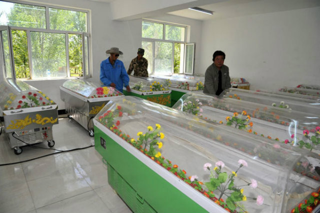 หนุ่มนำศพเมียใส่โลงแช่แข็ง นอนด้วยกันทุกคืน ยืนยัน...เราจะไม่พรากจากกัน หนุ่มนำศพเมียใส่โลงแช่แข็ง นอนด้วยกันทุกคืน ยืนยัน...เราจะไม่พรากจากกัน