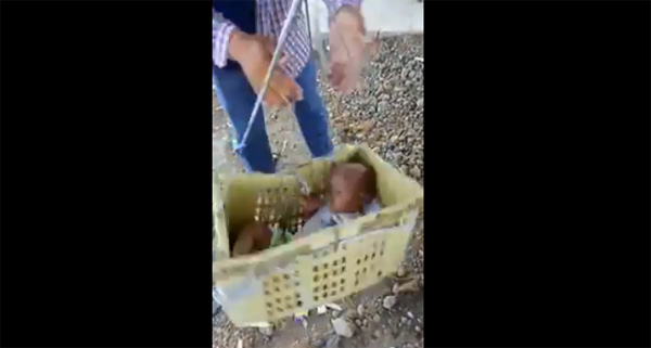 จับลูกใส่ตะกร้าแล้วหมุน จับลูกใส่ตะกร้าแล้วหมุน