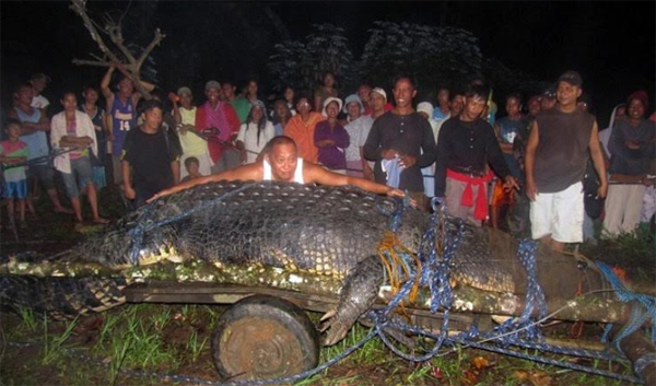 จระเข้ยักษ์ จระเข้ยักษ์