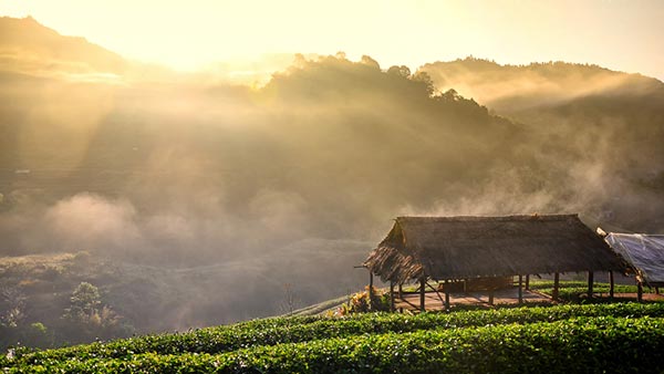 ดอยอ่างขาง ดอยอ่างขาง