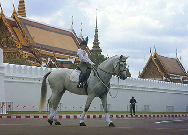 พระองค์หญิงสิริวัณณวรีฯ พระองค์หญิงสิริวัณณวรีฯ