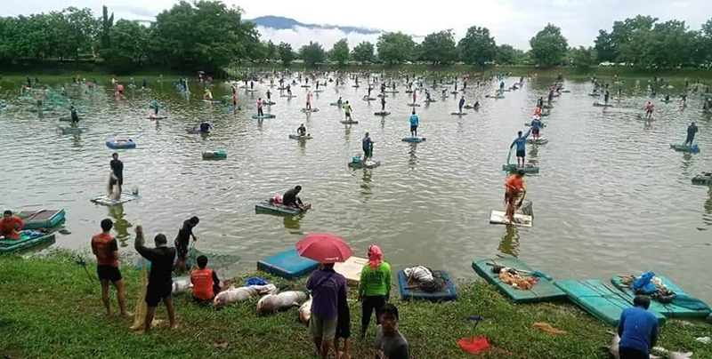 จับปลาในเขตอภัยทาน จับปลาในเขตอภัยทาน