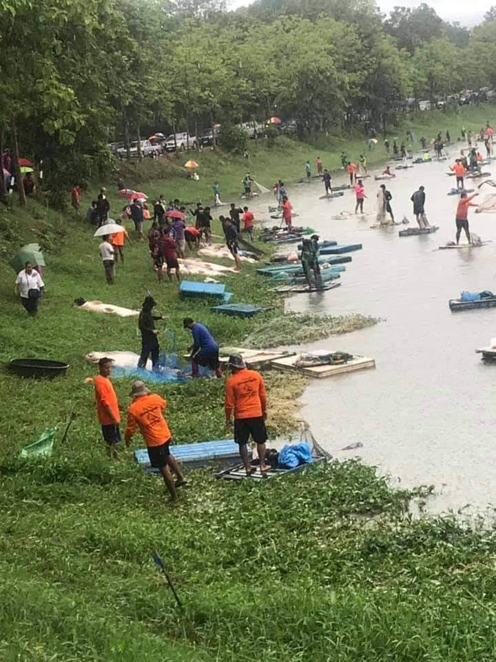 จับปลาในเขตอภัยทาน จับปลาในเขตอภัยทาน