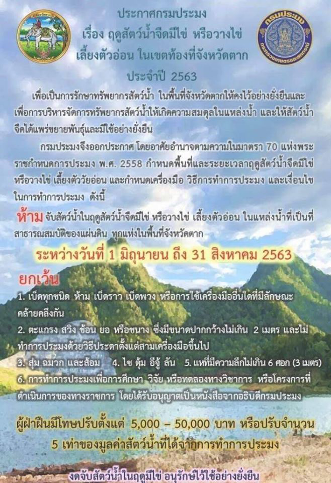 จับปลาในเขตอภัยทาน จับปลาในเขตอภัยทาน