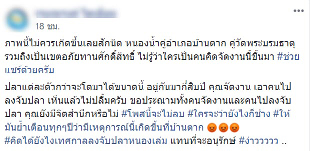 จับปลาในเขตอภัยทาน จับปลาในเขตอภัยทาน