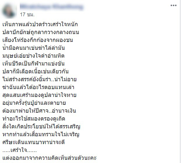 จับปลาในเขตอภัยทาน จับปลาในเขตอภัยทาน