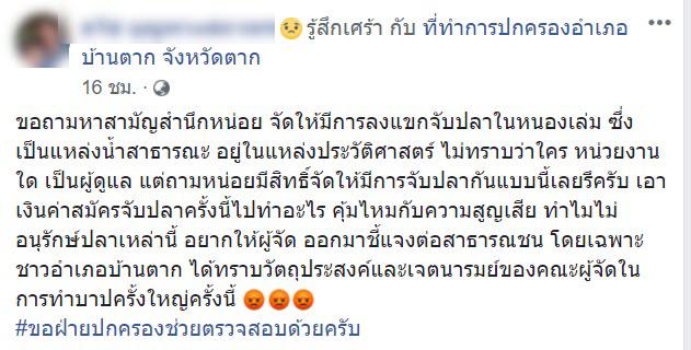 จับปลาในเขตอภัยทาน จับปลาในเขตอภัยทาน