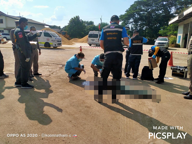 ราคาข้าวตกต่ำ ราคาข้าวตกต่ำ