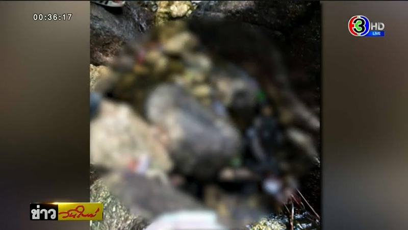 คนตกหน้าผาตาย คนตกหน้าผาตาย