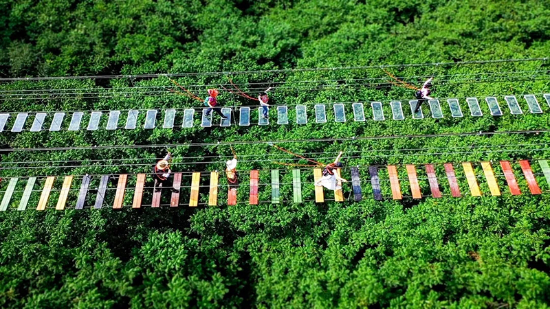 เด็กตกสะพานแขวนสูง เด็กตกสะพานแขวนสูง