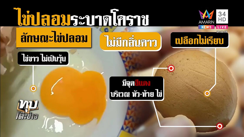 ไข่ปลอม ไข่ปลอม