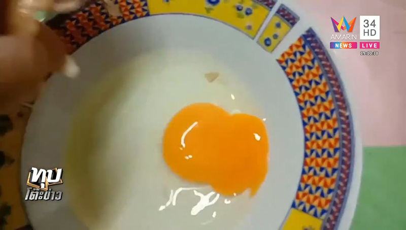 ไข่ปลอม ไข่ปลอม