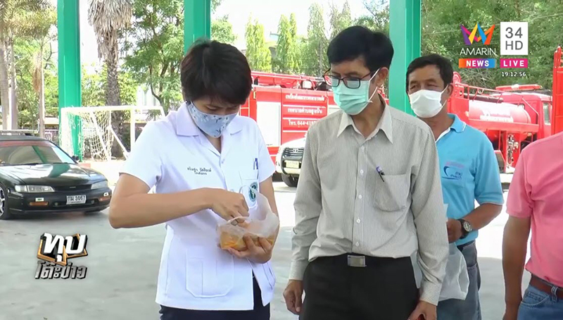 ไข่ปลอม ไข่ปลอม