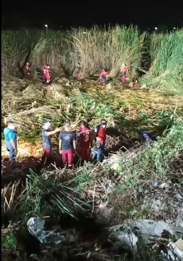 นกอีโก้ง นกอีโก้ง