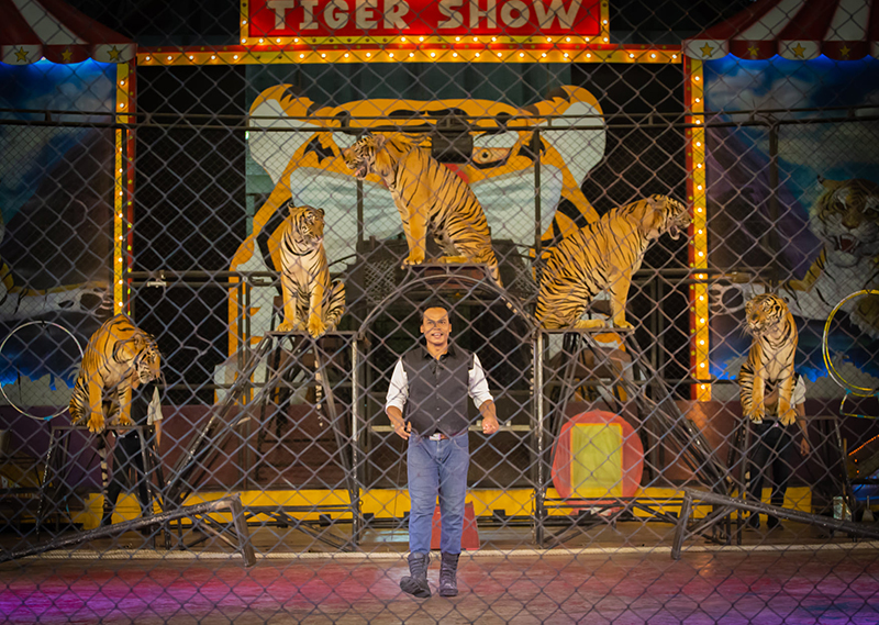 สวนเสือศรีราชาปิดกิจการ สวนเสือศรีราชาปิดกิจการ