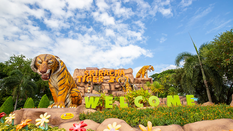 สวนเสือศรีราชาปิดกิจการ สวนเสือศรีราชาปิดกิจการ