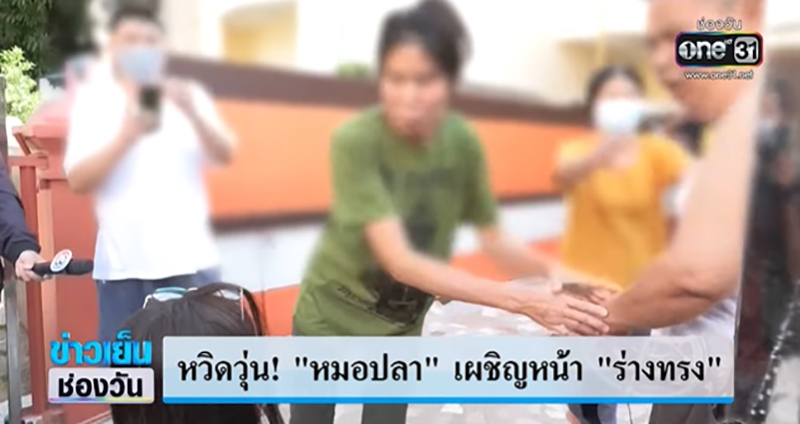 หมอปลา หมอปลา