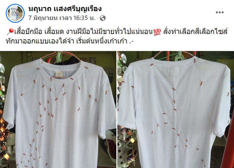 เสื้อลายมด เสื้อลายมด
