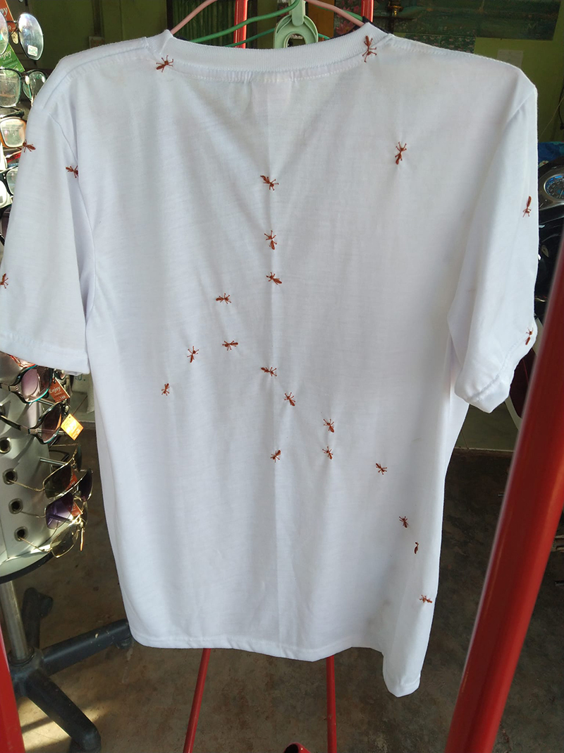 เสื้อลายมด เสื้อลายมด