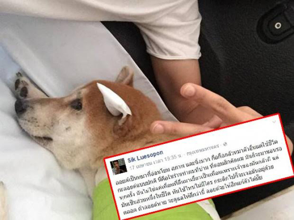 วู้ดดี้ พาอัพเดทอาการปู่ลอยด์ 3 ขา พร้อมพูดคุยกับ จักจั่น อคัมย์สิริ วู้ดดี้ พาอัพเดทอาการปู่ลอยด์ 3 ขา พร้อมพูดคุยกับ จักจั่น อคัมย์สิริ