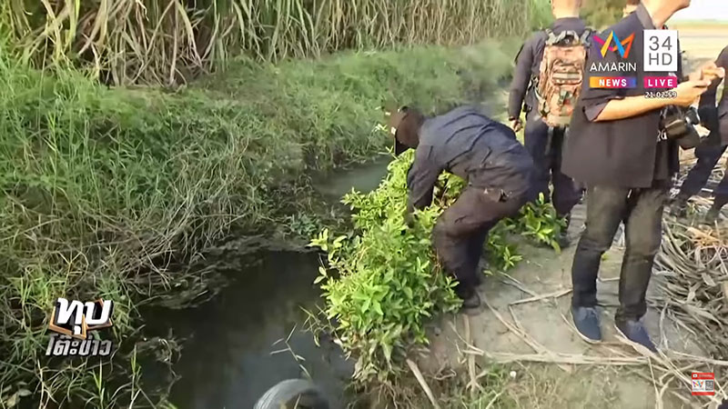 คดีซูลุยผิว คดีซูลุยผิว