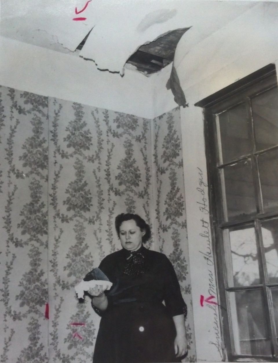 แอน ฮอดจ์ส (Ann Hodges)