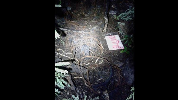 ฆ่าเผานั่งยางน้องพลอย ฆ่าเผานั่งยางน้องพลอย