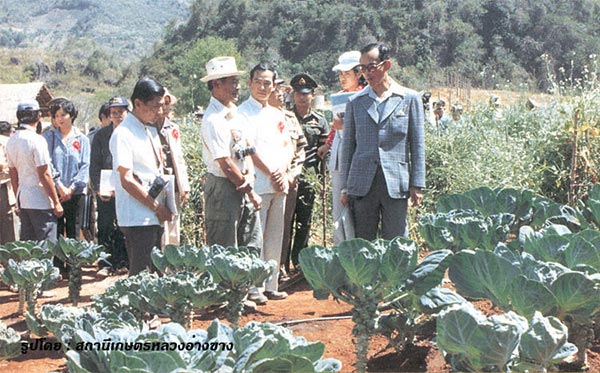 ดอยอ่างขาง ดอยอ่างขาง