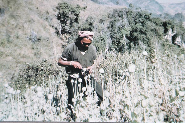 ดอยอ่างขาง ดอยอ่างขาง