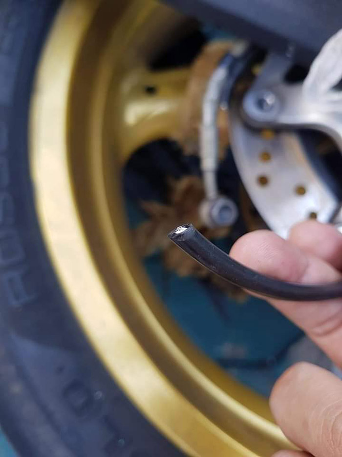 ขโมยรถในโรงพัก ขโมยรถในโรงพัก