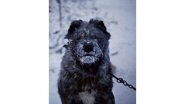 โอมยาคอน หมู่บ้านที่หนาวที่สุดในโลก โอมยาคอน หมู่บ้านที่หนาวที่สุดในโลก