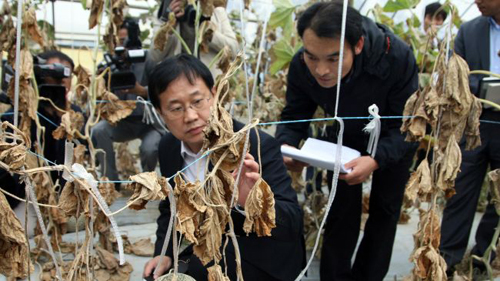 เกาหลีใต้ประกาศเขตภัยพิบัติ หลังสารเคมีรั่วไหล-เสียหายหนัก