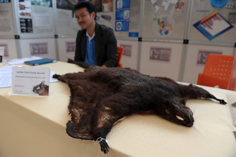 นักวิจัยพบสัตว์พันธุ์ใหม่ 3 ชนิด พบได้ในไทย-ลาว นักวิจัยพบสัตว์พันธุ์ใหม่ 3 ชนิด พบได้ในไทย-ลาว