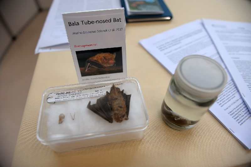 นักวิจัยพบสัตว์พันธุ์ใหม่ 3 ชนิด พบได้ในไทย-ลาว นักวิจัยพบสัตว์พันธุ์ใหม่ 3 ชนิด พบได้ในไทย-ลาว