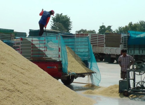 ชาวนาพิจิตรรวมกลุ่มประท้วง หลังจำนำข้าว 2 เดือนไม่ได้เงิน ชาวนาพิจิตรรวมกลุ่มประท้วง หลังจำนำข้าว 2 เดือนไม่ได้เงิน