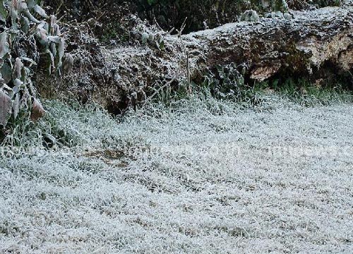 10 จังหวัดที่หนาวที่สุดในประเทศไทยตอนนี้ 10 จังหวัดที่หนาวที่สุดในประเทศไทยตอนนี้
